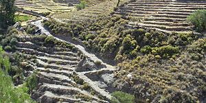 camino inca en tarata